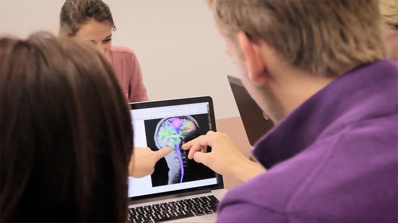 Students looking at brain on laptop